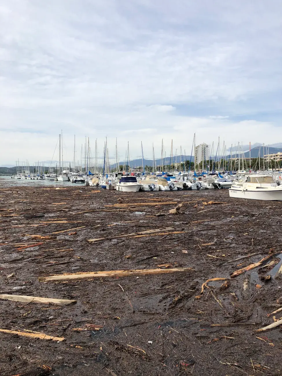 Port encombré de débris après une tempête (photo provisoire)
